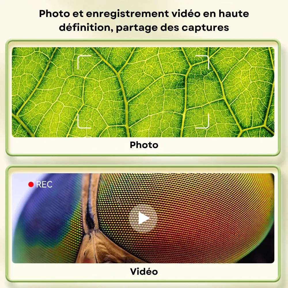 MiniVision microscope numérique – image en temps réel avec détails haute précision